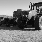 the farm