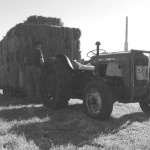the farm