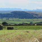 the farm