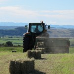the farm