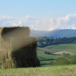 the farm
