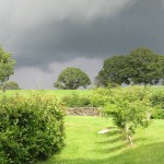 the farm