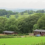 the farm