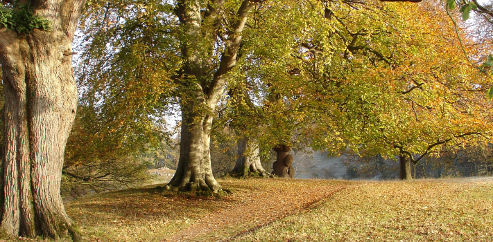 Levens Park.
